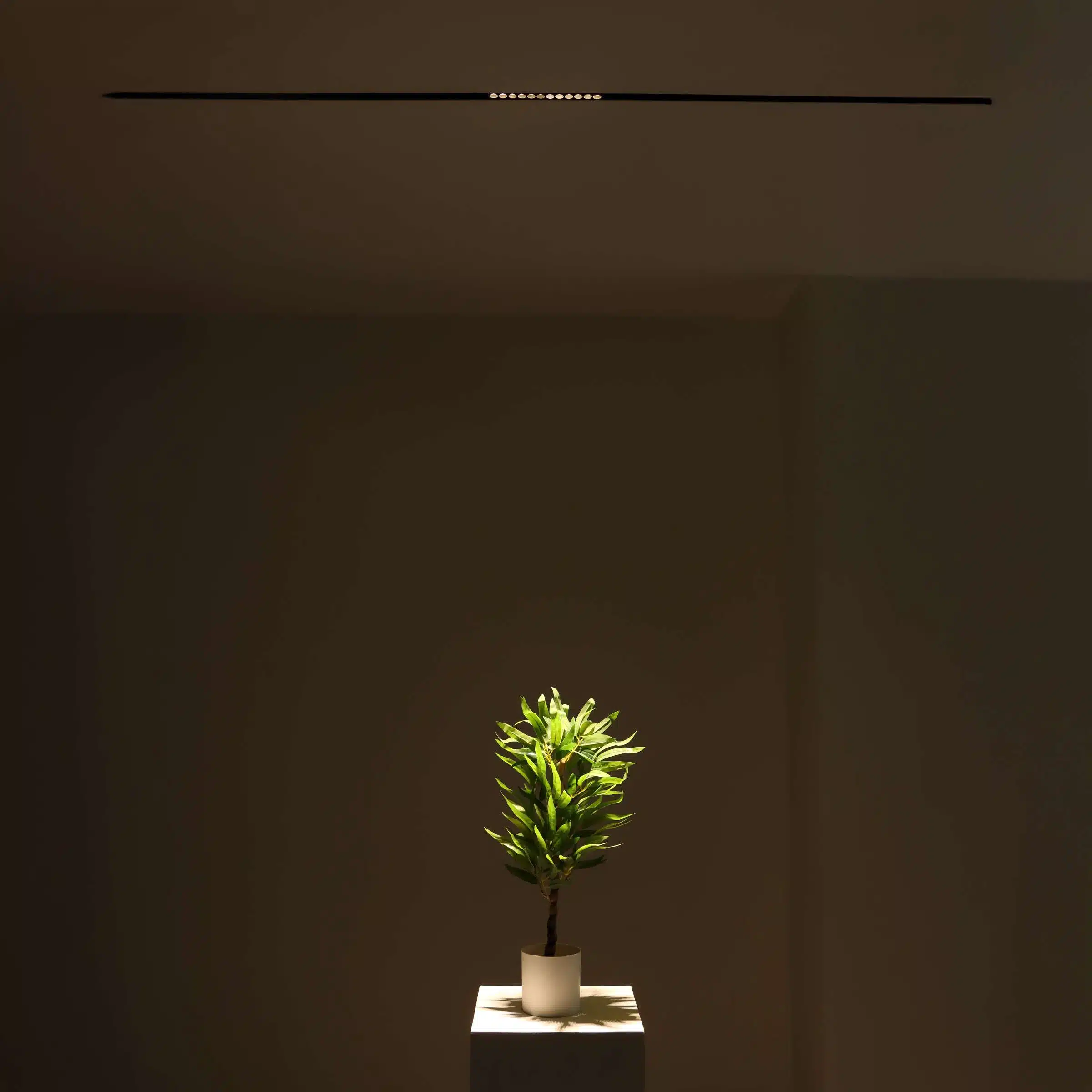 SCENE LU-DY-0181A-12W-3000K BLACK-IP20