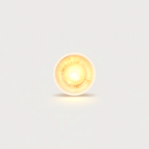 Spotlight - Indoor - Directional - GU10 - LED Lamp