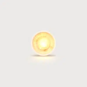 Spotlight - Indoor - Directional - GU10 - LED Lamp