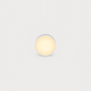 Architectural Indoor Round LED Ceiling Light – Surface Mounted – Directed Light