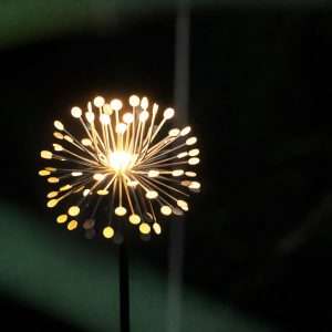 Garden Spike Light LED – outdoor – Decorative – Ground Mounted – Fixed