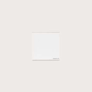 Blank Plate – Indoor – Wall Mounted – Single – Cover
