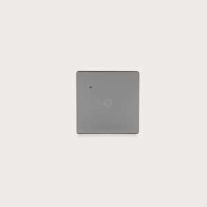 Switch – Indoor – Wall Mounted – Single – Smart Control
